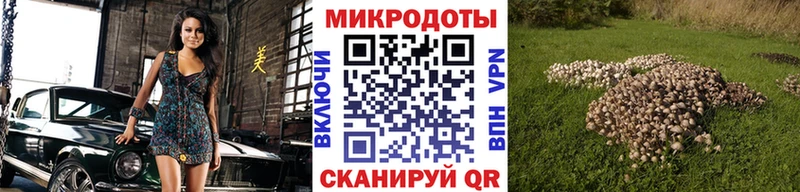 Купить Дзержинский Галлюциногенные грибы ЛСД